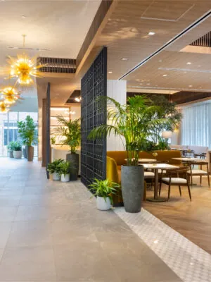 Hotel hallwaz with plants and lounge chairs.